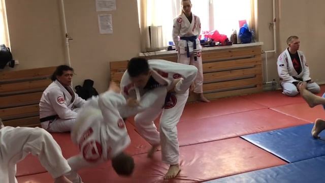 Сдача на пояса по bjj GB смотреть онлайн
