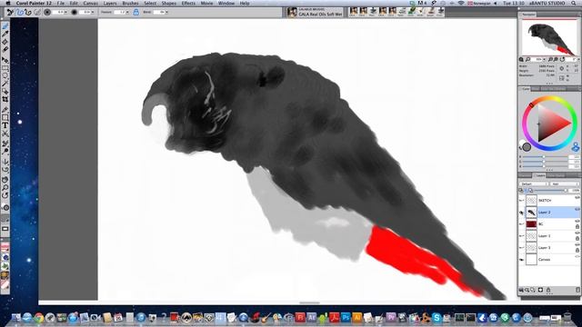 How to draw a Parrot in Corel Painter 12. (2013) смотреть онлайн