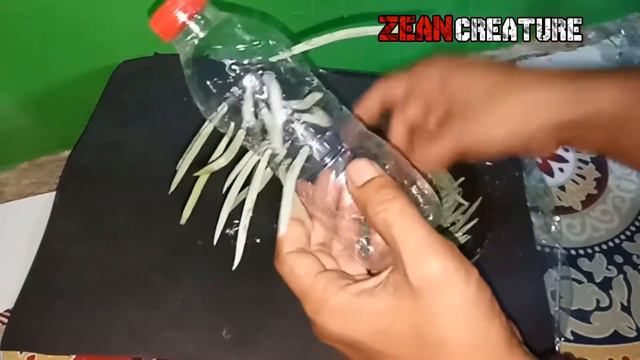 #Tekhnik Cara memperbanyak Tanaman Suculen || succulent propagation from leaves смотреть онлайн