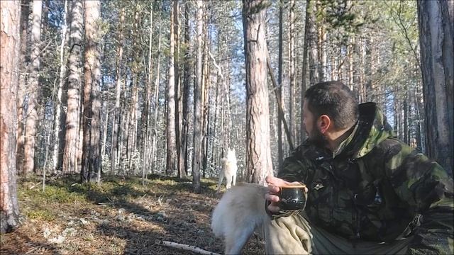 Промысел 2022-2023./Прокладываю новый путик. смотреть онлайн