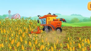 Выращиваем и собираем кукурузу