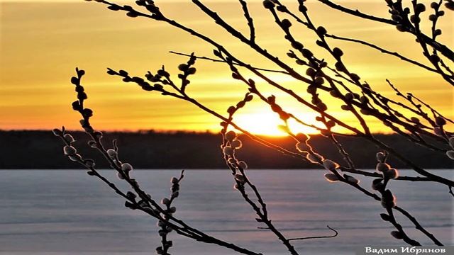 Вербы_(авторская)_Вадим Ибрянов смотреть онлайн