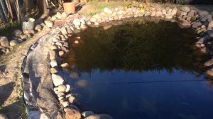 Как оформить берега пруда на даче быстро  и недорого/How to draw a pond