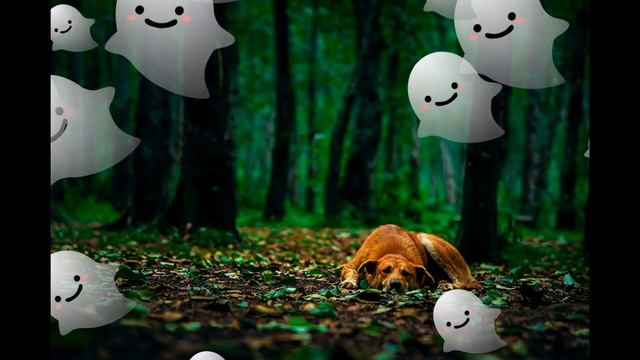 Расслабляющая музыка для релаксации!