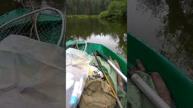 Болотоход из Тимашевска в Коми смотреть онлайн