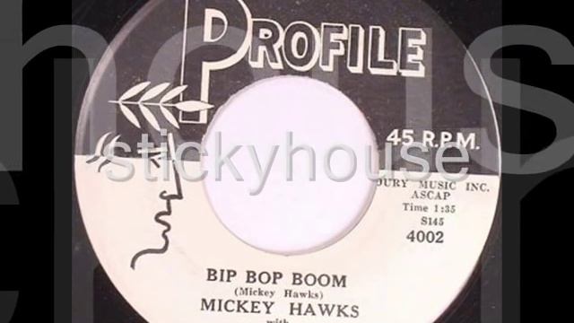 MICKEY HAWKS & THE NIGHT RAIDERS - BIP BOP BOOM