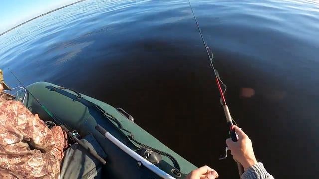 Волжский окунь. смотреть онлайн