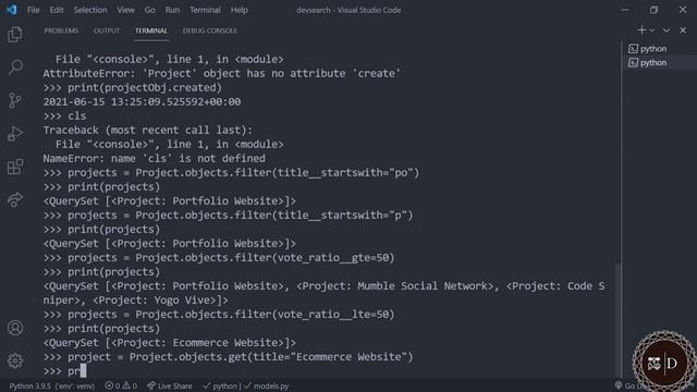 Python Django - Database Queries смотреть онлайн