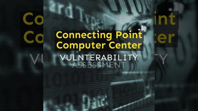 Vulnerability Assessment Service смотреть онлайн