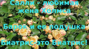 Про розы  Салли Холмс, Барок и Биатрис.