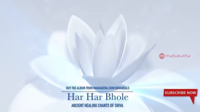 POWERFUL Shiva Mantra To Remove Negativity ( HARA HARA BOLE NAMAH SHIVAYA ) смотреть онлайн