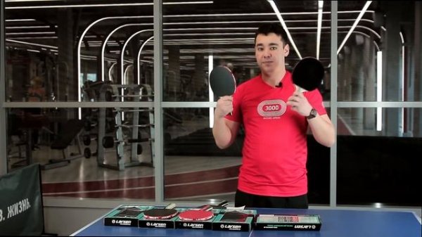 Ракетки для настольного тенниса Larsen.