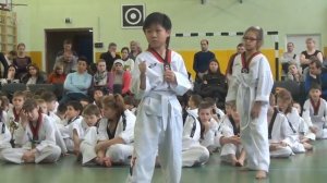 я здаю на жёлтый пояс  тхэквондо