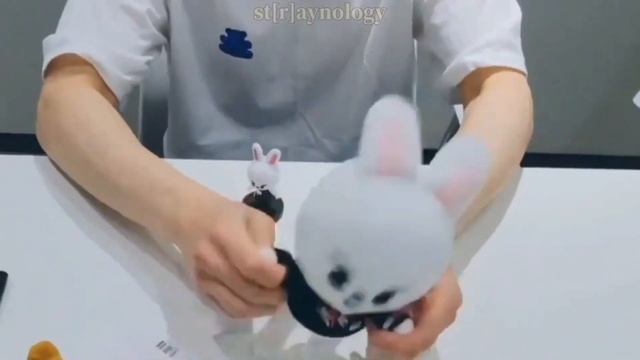 How Stray Kids Treats SKZOO