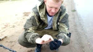 Летний коп на пляже с fisher f22. Псковский пляж.