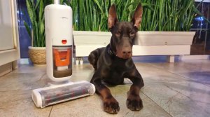 Моющий беспроводной пылесос PRO-EXPERT AQUA V2 (обзор от канала "Андрей С'Алёной")