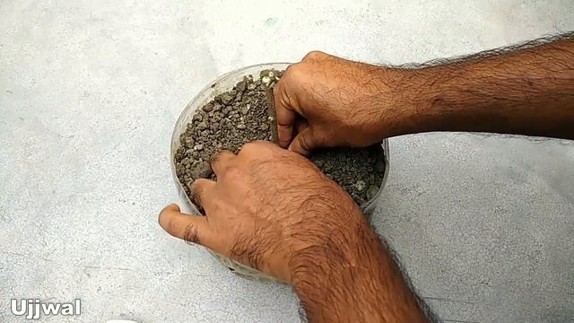 Grow Hibiscus Cutting Easiest Way | Grow cuttings plants faster смотреть онлайн