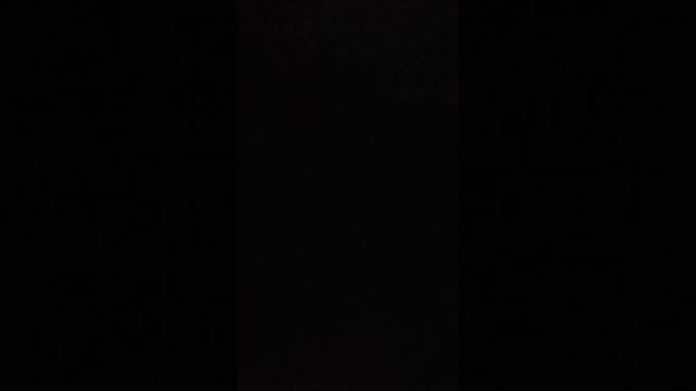 Ночное катание на Хасках. Томск с. Дзержинское. Питомник Happy Husky. Декабрь 2022. смотреть онлайн