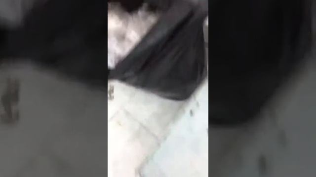 финики новинка 2020 от лорадо смотреть онлайн