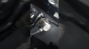 Быстросъём топливной трубки Форд снять.