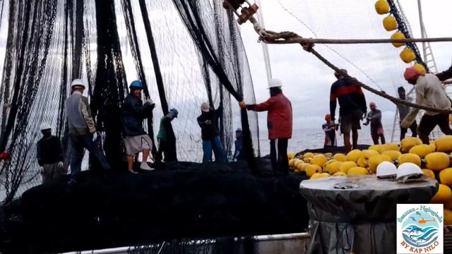 (FULL VIDEO) DANGER IN TUNA FISHING AT THE PACIFIC🦈 смотреть онлайн
