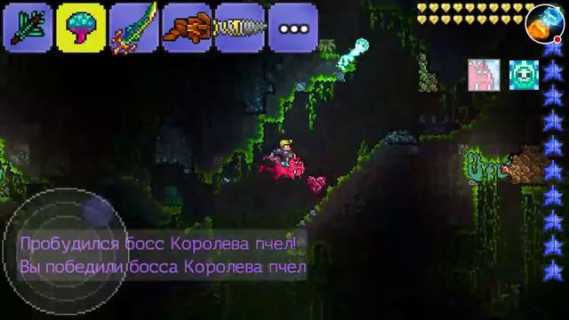 победил королеву пчёл в террарии смотреть онлайн