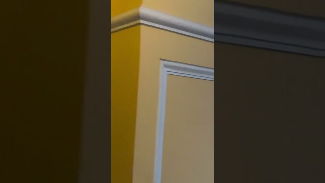 XOLIDAYBOY После концерта Санкт-Петербург 23.06.24 #xolidayboy#концерт#иванржевский#санктпетербург смотреть онлайн