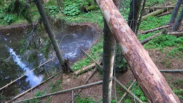 САМЫЕ ПУКАНОБОМБЯЩИЕ КАДРЫ ВТОРОГО ЗАЕЗДА смотреть онлайн