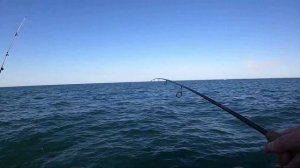 Ловлю ОГРОМНЫХ бычков в Черном море.