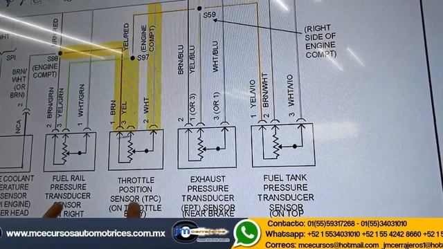 ??¿Por qué el Sensor [TPS] en FORD puede INMOVILIZAR el auto y confundirte en el Diagnostico? смотреть онлайн
