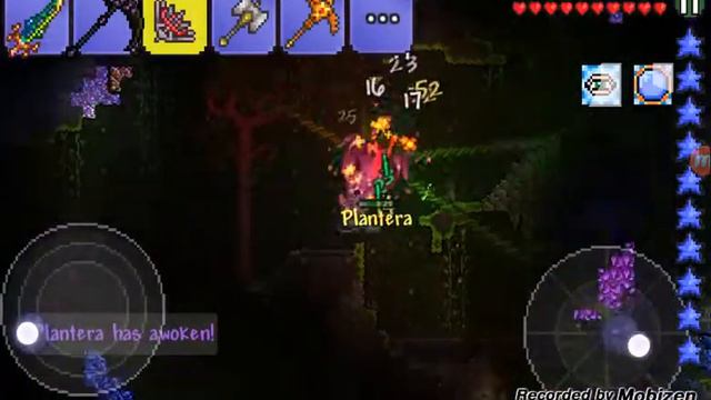 Terraria:Getting Chlorophyte