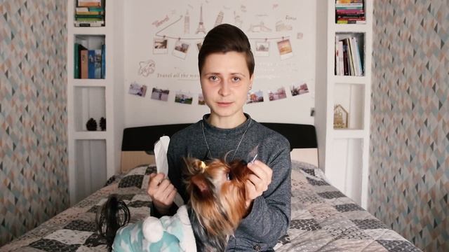 Зачем я чипировала собаку? Как проходит чипирование йоркширского терьера (что дает, процедура, цена смотреть онлайн