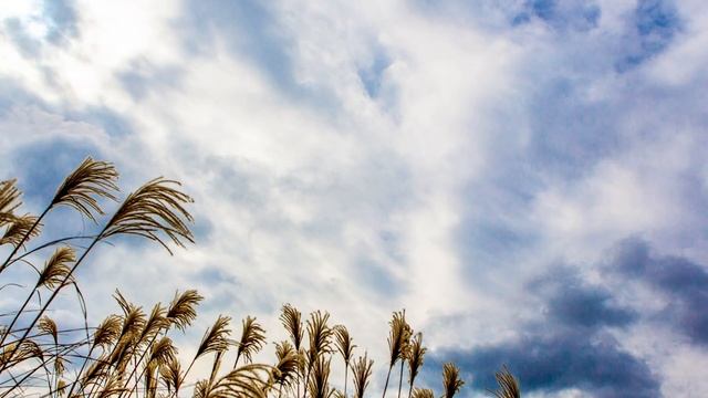 Евангелие дня. Чтимые святые дня. Икона Божией Матери: Словенская (1635). (06.10.2020)