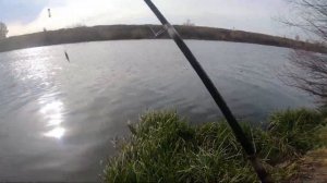 Ловля щуки и окуня на живца. Рыбалка на Дону. ОКУНЬ-МОНСТР!!!Ловля живца.