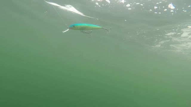 How Lures Swim: Rapala Saltwater X-Rap смотреть онлайн