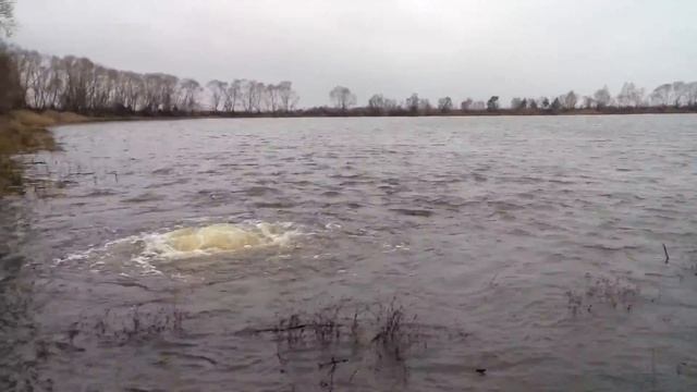 Озеро в Пинском районе. смотреть онлайн
