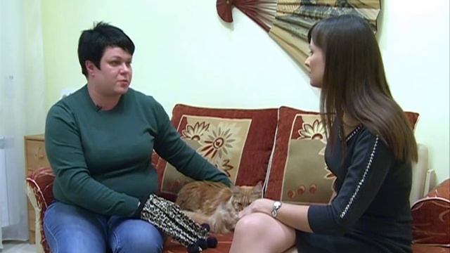 "Зоо". Мейн-кун по имени Лиса смотреть онлайн