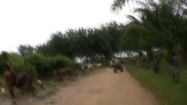 Рафтинг на Пхукете!!! Phuket Rafting!!! Экскурсии с phuket-cheap-tour.ru смотреть онлайн
