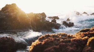 Звуки моря. Крики чаек. Спокойствие и умиротворение. Музыка для сна. 1 час.mp4