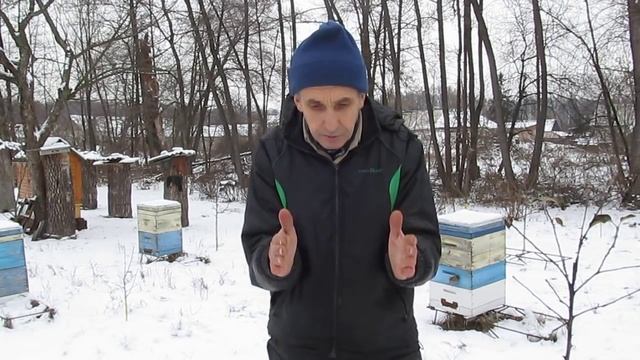 Виды кормовых дотаций и особенности размещения. Декабрь 2016 г. смотреть онлайн