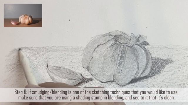 Garlic - observational drawing смотреть онлайн