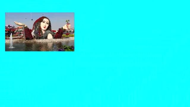 топиарии в вашем саду 2 ч. смотреть онлайн