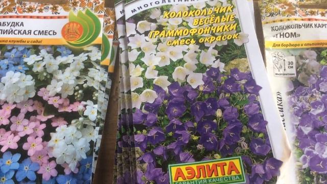 Посадка цветов в лесу смотреть онлайн