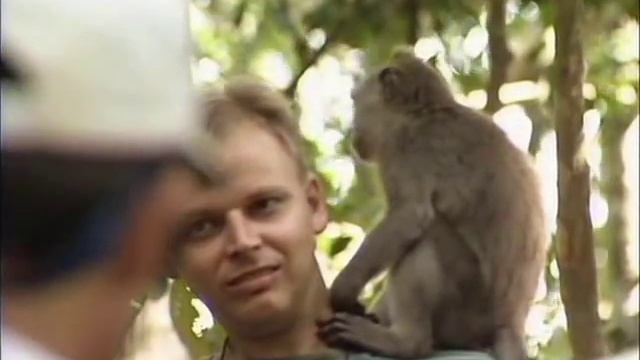 Бали. Золотой глобус - 79 смотреть онлайн