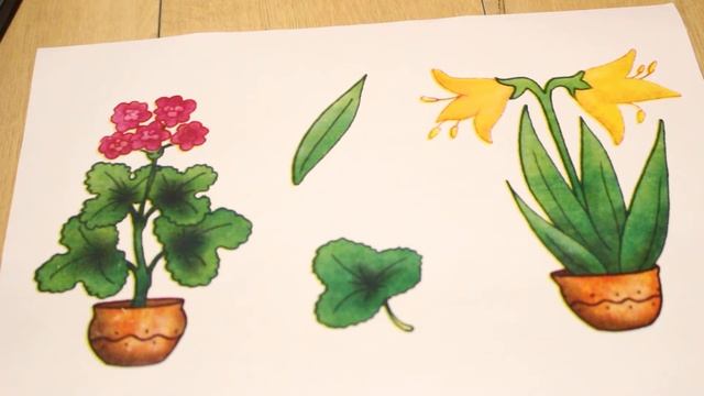 Дидактическая игра "Цветы" смотреть онлайн