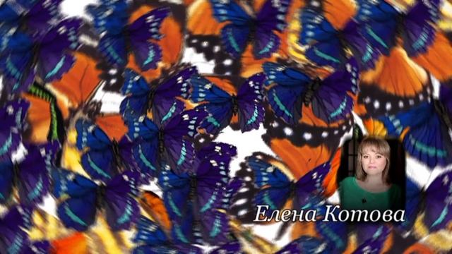 Елена Котова - АДАПТАЦИЯ смотреть онлайн