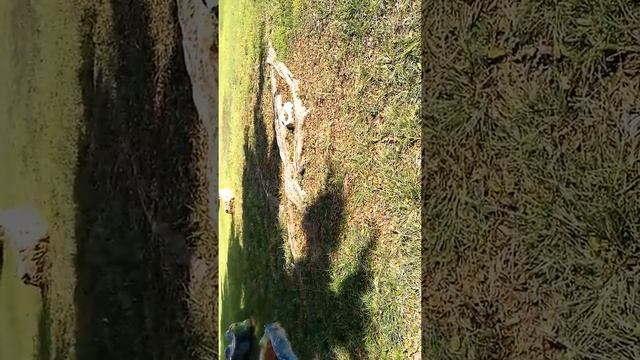 Удот во время еды смотреть онлайн