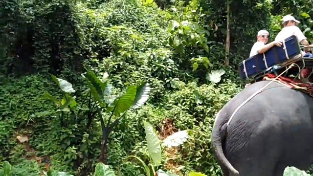 Погонщик поёт песню Натали. О боже какой мужчина смотреть онлайн