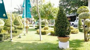 Обзор Отель Asia Pattaya 4*, Паттайя, Таиланд