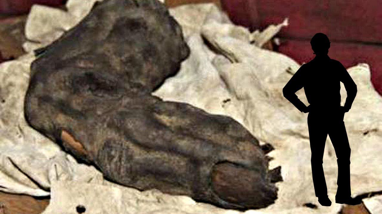 10 НАХОДОК ДОКАЗЫВАЮЩИХ СУЩЕСТВОВАНИЕ ЛЮДЕЙ ВЕЛИКАНОВ смотреть онлайн